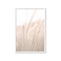Picture of Rhapsody of Grass Blades _GroupedProduct_Rectangle_Portrait_Photography _GroupedProduct_Rectangle_Portrait_Framed_Matted_