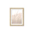 Picture of Rhapsody of Grass Blades _GroupedProduct_Rectangle_Portrait_Photography _GroupedProduct_Rectangle_Portrait_Framed_Matted_