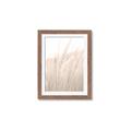 Picture of Rhapsody of Grass Blades _GroupedProduct_Rectangle_Portrait_Photography _GroupedProduct_Rectangle_Portrait_Framed_Matted_