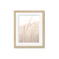 Picture of Rhapsody of Grass Blades _GroupedProduct_Rectangle_Portrait_Photography _GroupedProduct_Rectangle_Portrait_Framed_Matted_