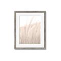 Picture of Rhapsody of Grass Blades _GroupedProduct_Rectangle_Portrait_Photography _GroupedProduct_Rectangle_Portrait_Framed_Matted_
