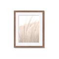 Picture of Rhapsody of Grass Blades _GroupedProduct_Rectangle_Portrait_Photography _GroupedProduct_Rectangle_Portrait_Framed_Matted_