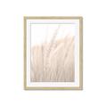 Picture of Rhapsody of Grass Blades _GroupedProduct_Rectangle_Portrait_Photography _GroupedProduct_Rectangle_Portrait_Framed_Matted_