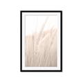 Picture of Rhapsody of Grass Blades _GroupedProduct_Rectangle_Portrait_Photography _GroupedProduct_Rectangle_Portrait_Framed_Matted_