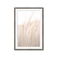 Picture of Rhapsody of Grass Blades _GroupedProduct_Rectangle_Portrait_Photography _GroupedProduct_Rectangle_Portrait_Framed_Matted_