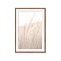 Picture of Rhapsody of Grass Blades _GroupedProduct_Rectangle_Portrait_Photography _GroupedProduct_Rectangle_Portrait_Framed_Matted_