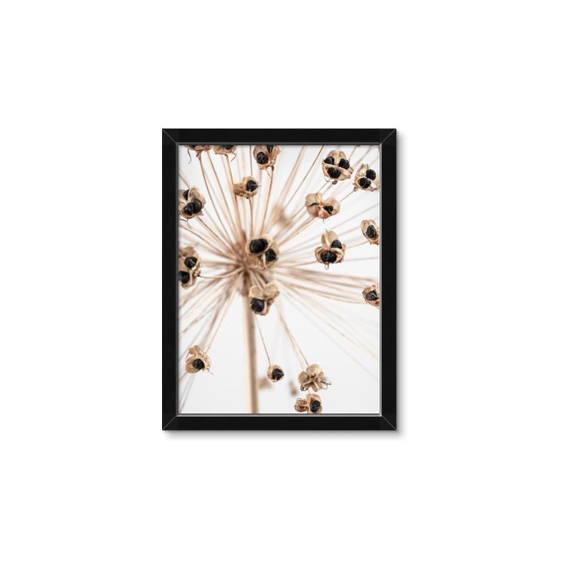 Picture of Ethereal Flower _GroupedProduct_Rectangle_Portrait_Photography _GroupedProduct_Rectangle_Portrait_Framed_Matted_