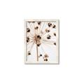 Picture of Ethereal Flower _GroupedProduct_Rectangle_Portrait_Photography _GroupedProduct_Rectangle_Portrait_Framed_Matted_