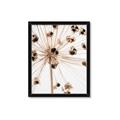 Picture of Ethereal Flower _GroupedProduct_Rectangle_Portrait_Photography _GroupedProduct_Rectangle_Portrait_Framed_Matted_