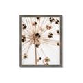 Picture of Ethereal Flower _GroupedProduct_Rectangle_Portrait_Photography _GroupedProduct_Rectangle_Portrait_Framed_Matted_