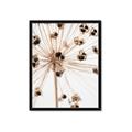 Picture of Ethereal Flower _GroupedProduct_Rectangle_Portrait_Photography _GroupedProduct_Rectangle_Portrait_Framed_Matted_