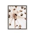 Picture of Ethereal Flower _GroupedProduct_Rectangle_Portrait_Photography _GroupedProduct_Rectangle_Portrait_Framed_Matted_