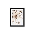 Picture of Ethereal Flower _GroupedProduct_Rectangle_Portrait_Photography _GroupedProduct_Rectangle_Portrait_Framed_Matted_
