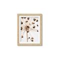 Picture of Ethereal Flower _GroupedProduct_Rectangle_Portrait_Photography _GroupedProduct_Rectangle_Portrait_Framed_Matted_