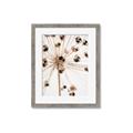 Picture of Ethereal Flower _GroupedProduct_Rectangle_Portrait_Photography _GroupedProduct_Rectangle_Portrait_Framed_Matted_