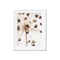 Picture of Ethereal Flower _GroupedProduct_Rectangle_Portrait_Photography _GroupedProduct_Rectangle_Portrait_Framed_Matted_