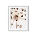 Picture of Ethereal Flower _GroupedProduct_Rectangle_Portrait_Photography _GroupedProduct_Rectangle_Portrait_Framed_Matted_