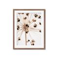 Picture of Ethereal Flower _GroupedProduct_Rectangle_Portrait_Photography _GroupedProduct_Rectangle_Portrait_Framed_Matted_