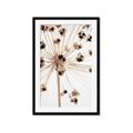 Picture of Ethereal Flower _GroupedProduct_Rectangle_Portrait_Photography _GroupedProduct_Rectangle_Portrait_Framed_Matted_