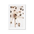 Picture of Ethereal Flower _GroupedProduct_Rectangle_Portrait_Photography _GroupedProduct_Rectangle_Portrait_Framed_Matted_