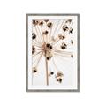 Picture of Ethereal Flower _GroupedProduct_Rectangle_Portrait_Photography _GroupedProduct_Rectangle_Portrait_Framed_Matted_