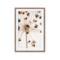 Picture of Ethereal Flower _GroupedProduct_Rectangle_Portrait_Photography _GroupedProduct_Rectangle_Portrait_Framed_Matted_