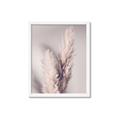 Picture of Enchanted Pampas Grass _GroupedProduct_Rectangle_Portrait_Photography _GroupedProduct_Rectangle_Portrait_Framed_Matted_