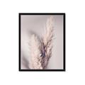 Picture of Enchanted Pampas Grass _GroupedProduct_Rectangle_Portrait_Photography _GroupedProduct_Rectangle_Portrait_Framed_Matted_