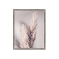 Picture of Enchanted Pampas Grass _GroupedProduct_Rectangle_Portrait_Photography _GroupedProduct_Rectangle_Portrait_Framed_Matted_