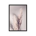 Picture of Enchanted Pampas Grass _GroupedProduct_Rectangle_Portrait_Photography _GroupedProduct_Rectangle_Portrait_Framed_Matted_