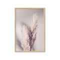 Picture of Enchanted Pampas Grass _GroupedProduct_Rectangle_Portrait_Photography _GroupedProduct_Rectangle_Portrait_Framed_Matted_