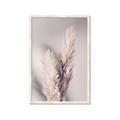 Picture of Enchanted Pampas Grass _GroupedProduct_Rectangle_Portrait_Photography _GroupedProduct_Rectangle_Portrait_Framed_Matted_