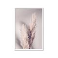 Picture of Enchanted Pampas Grass _GroupedProduct_Rectangle_Portrait_Photography _GroupedProduct_Rectangle_Portrait_Framed_Matted_