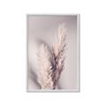 Picture of Enchanted Pampas Grass _GroupedProduct_Rectangle_Portrait_Photography _GroupedProduct_Rectangle_Portrait_Framed_Matted_