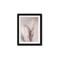 Picture of Enchanted Pampas Grass _GroupedProduct_Rectangle_Portrait_Photography _GroupedProduct_Rectangle_Portrait_Framed_Matted_