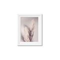 Picture of Enchanted Pampas Grass _GroupedProduct_Rectangle_Portrait_Photography _GroupedProduct_Rectangle_Portrait_Framed_Matted_