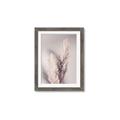 Picture of Enchanted Pampas Grass _GroupedProduct_Rectangle_Portrait_Photography _GroupedProduct_Rectangle_Portrait_Framed_Matted_