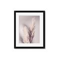 Picture of Enchanted Pampas Grass _GroupedProduct_Rectangle_Portrait_Photography _GroupedProduct_Rectangle_Portrait_Framed_Matted_