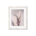 Picture of Enchanted Pampas Grass _GroupedProduct_Rectangle_Portrait_Photography _GroupedProduct_Rectangle_Portrait_Framed_Matted_