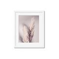 Picture of Enchanted Pampas Grass _GroupedProduct_Rectangle_Portrait_Photography _GroupedProduct_Rectangle_Portrait_Framed_Matted_