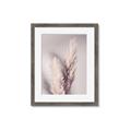 Picture of Enchanted Pampas Grass _GroupedProduct_Rectangle_Portrait_Photography _GroupedProduct_Rectangle_Portrait_Framed_Matted_