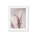Picture of Enchanted Pampas Grass _GroupedProduct_Rectangle_Portrait_Photography _GroupedProduct_Rectangle_Portrait_Framed_Matted_