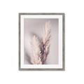 Picture of Enchanted Pampas Grass _GroupedProduct_Rectangle_Portrait_Photography _GroupedProduct_Rectangle_Portrait_Framed_Matted_