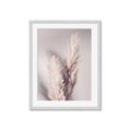 Picture of Enchanted Pampas Grass _GroupedProduct_Rectangle_Portrait_Photography _GroupedProduct_Rectangle_Portrait_Framed_Matted_