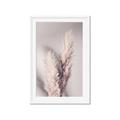 Picture of Enchanted Pampas Grass _GroupedProduct_Rectangle_Portrait_Photography _GroupedProduct_Rectangle_Portrait_Framed_Matted_