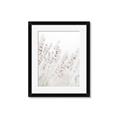 Picture of Grass straws _GroupedProduct_Rectangle_Portrait_Photography _GroupedProduct_Rectangle_Portrait_Framed_Matted_
