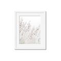 Picture of Grass straws _GroupedProduct_Rectangle_Portrait_Photography _GroupedProduct_Rectangle_Portrait_Framed_Matted_