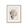 Picture of Lullaby of a Beige Flower _GroupedProduct_Rectangle_Portrait_Photography _GroupedProduct_Rectangle_Portrait_Framed_Matted_