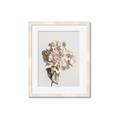 Picture of Lullaby of a Beige Flower _GroupedProduct_Rectangle_Portrait_Photography _GroupedProduct_Rectangle_Portrait_Framed_Matted_