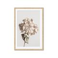 Picture of Lullaby of a Beige Flower _GroupedProduct_Rectangle_Portrait_Photography _GroupedProduct_Rectangle_Portrait_Framed_Matted_